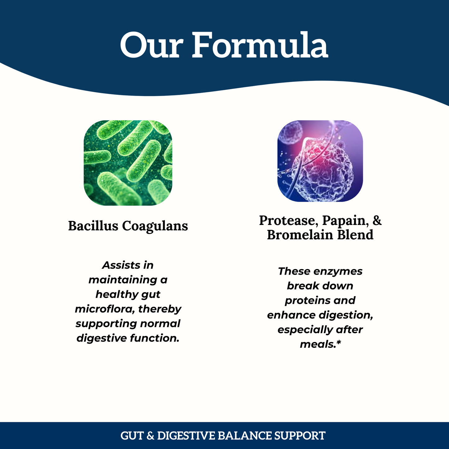 Digestive + Gut Health Strips